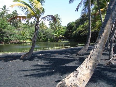 Punaluu Beach Hawaii